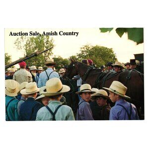 Vintage Postcard Amish Auction Sale Scene Rural Community J Penrod Photography